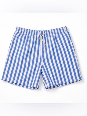 Zara Blue and White Striped Kids Swim Trunks